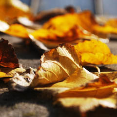 哪个平台最好的doss网站攻击